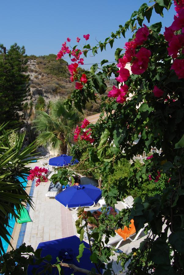 Artemis Studios Faliraki Exterior foto